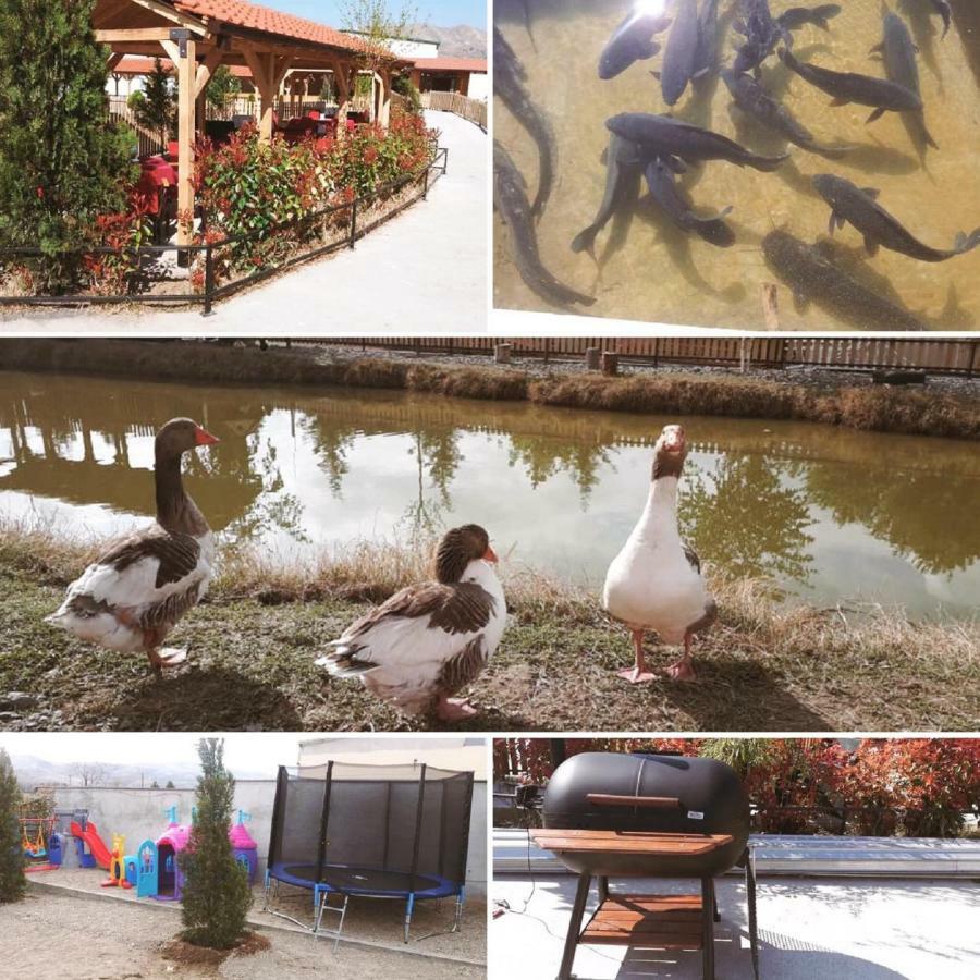 Hotel&Spamontenegro Rivijera 벨레스 외부 사진
